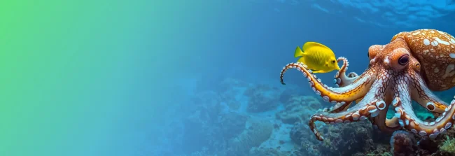 Hero Interimslösungen